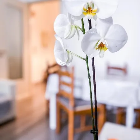 Apartment Myhouse Marche - Affitti Brevi Italia Turin